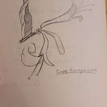Previous Works Before Taking Classes. Ilustração tradicional, Design de personagens e Ilustração digital projeto de Dorian Avila - 24.02.2023
