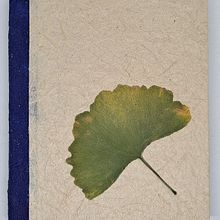 Mi proyecto del curso: Encuadernación artesanal sin costuras. Un progetto di Artigianato, Belle arti, Rilegatura e DIY di Miryam Alvarado - 24.02.2023