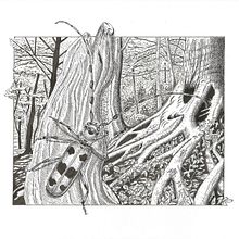 Il mio progetto del corso: Illustrazione con inchiostro e pennino: rappresenta la natura. Un progetto di Bozzetti, Disegno, Disegno artistico, Sketchbook, Illustrazione con inchiostro e Illustrazione naturalistica di Federica Usai - 25.02.2023