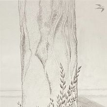 Árbol en detalle. Un proyecto de Dibujo a lápiz de mihaela_m - 25.02.2023