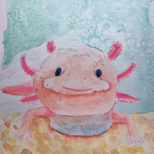 Animal Paintings. Un proyecto de Pintura de Sandra Mould - 25.02.2023