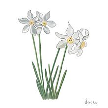 Ilustración botánica . Traditional illustration, Botanical Illustration, Digital Illustration, Naturalistic Illustration, Design, and Editorial Illustration project by Vero R.Martinez - 02.25.2023