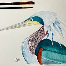 Mi proyecto del curso: Ilustración naturalista de aves con acuarela. Projekt z dziedziny Trad, c, jna ilustracja, Malowanie akwarelą, R, sunek realist, czn, Ilustracja naturalist i czna użytkownika Susana García Blanco - 15.02.2023