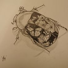 El escarabajo. Pencil Drawing, Drawing, Artistic Drawing, and Naturalistic Illustration project by Sandrine Jankowski - 02.26.2023