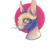 Gato Egipcio . Ilustração tradicional projeto de Andrea Rodríguez Rada - 24.02.2023