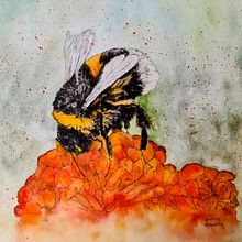 My project for course: Illustrating the Natural World with Watercolor and Charcoal. Projekt z dziedziny Trad, c, jna ilustracja,  Malarstwo, Ilustracja naturalist i czna użytkownika jhombsch - 27.02.2023