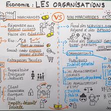 Sketchnotes sur les organisations en économie Ein Projekt aus dem Bereich Traditionelle Illustration von alyca92 - 27.02.2023
