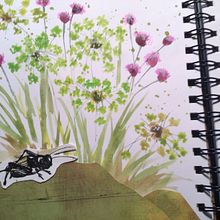 My project for course: Illustrating Nature: A Creative Exploration. Un proyecto de Ilustración tradicional, Pintura, Dibujo, Pintura a la acuarela, Ilustración con tinta e Ilustración naturalista				 de Pamela - 25.02.2023