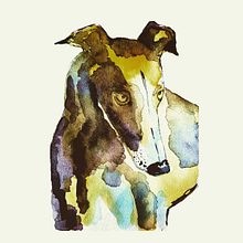 Animalario. Traditional illustration project by Marxela Cereseto - 02.27.2023