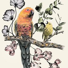Mon projet du cours : Illustration naturaliste au stylo. Un projet de Illustration traditionnelle, Dessin, Dessin réaliste et Illustration naturaliste de mina_inverse - 28.02.2023