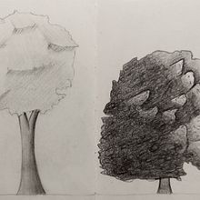 Estudio de árboles. Pencil Drawing project by Sandra Lorenzo - 02.28.2023