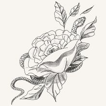 Mi proyecto del curso: Tatuaje naturalista: del trazo a la piel. Traditional illustration, Drawing, Tattoo Design, Botanical Illustration, and Naturalistic Illustration project by J Pp - 01.30.2023