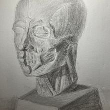 My project for course: Graphite Drawing Techniques for Planar Portraiture. Fine Arts, Sketching, Drawing, Portrait Drawing, Realistic Drawing, and Artistic Drawing project by artieandersen - 03.02.2023