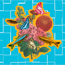 O xêro nas fulo. Un proyecto de Diseño de Fernando Rodrigues - 03.03.2023