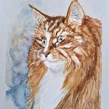 Expressive Animal Portraits in Watercolor, first attempt to colour. Traditional illustration project by Sissel - 03.03.2023