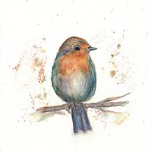 Mein Abschlussprojekt für den Kurs: Illustriere Vögel mit expressiven Aquarelltechniken. Traditional illustration, Watercolor Painting, Realistic Drawing, and Naturalistic Illustration project by margarete_koplin - 03.03.2023