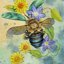 My project for course: Botanical Watercolor Painting of the Natural World. Un progetto di Belle arti, Pittura, Pittura ad acquerello, Illustrazione botanica e Illustrazione naturalistica di Jane - 05.03.2023