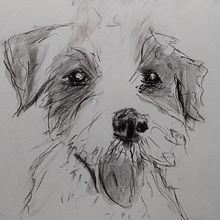 Mein Abschlussprojekt für den Kurs: Tiere zeichnen mit Kohle und Tusche. Fine Arts, Drawing, Ink Illustration, and Naturalistic Illustration project by Katrin Dübbers - 03.05.2023