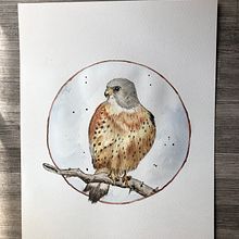 Mi proyecto del curso: Acuarela con detalles en filigrana y toques metálicos. Projekt z dziedziny Trad, c, jna ilustracja,  Malarstwo, Malowanie akwarelą, R, sunek botaniczn, Ilustracja naturalist, czna, Malarstwo dekorac i jne użytkownika Rocio Romero - 05.03.2023
