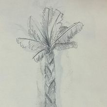 Esborranys d’arbres. Un proyecto de Dibujo artístico de Vinyet Montaña - 06.03.2023