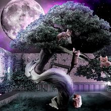 Mon projet du cours : Les secrets du photomontage et de la retouche créative. Un progetto di Fotografia, Postproduzione fotografica, VFX, Ritocco fotografico, Fotografia artistica, Composizione fotografica e Fotomontaggio di Maria Agop - 06.03.2023