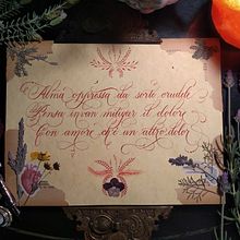 "Flor en Floritura". Calligraph, Lettering, H, and Lettering project by Aldo Ríos Mendoza - 03.06.2023
