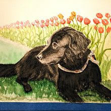 Latest watercolor dog portraits. Projekt z dziedziny Trad, c, jna ilustracja, Craft,  Malarstwo,  R, sunek i Malowanie akwarelą użytkownika Greg Garbinsky - 06.03.2023