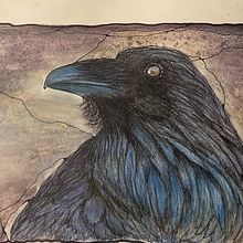 SmugRaven . Ilustrație tradițională de Nicole Cormier - 03.07.2023