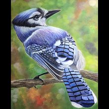 Blue Jay  . Ilustrație tradițională de Nicole Cormier - 03.07.2023