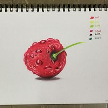 Cherry. Colored Pencil Drawing project by dawncseke - 03.07.2023