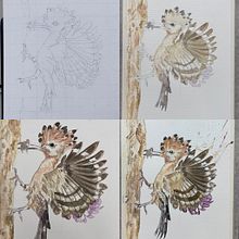 Abubilla, Hoopoe. . Traditional illustration, Watercolor Painting, Realistic Drawing, and Naturalistic Illustration project by Carol Pinango - 03.07.2023