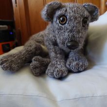 My project for course: Knitting Realistic Stuffed Animals: Make a Puppy from Yarn. DIY, and Knitting project by Stephanie Bryant Eyles - 03.06.2023
