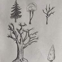 Practicas arboles. Un projet de Dessin au cra , et on de Anaïs Castro Pros - 09.03.2023