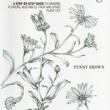 Botanical drawing - A step by step guide . Álbum ilustrado projeto de Penny Brown - 09.03.2023