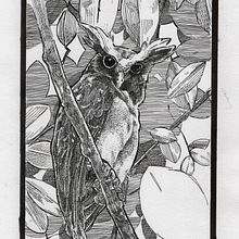 Meu projeto do curso: Ilustração com tinta e bico de pena: registre o mundo natural. Projekt z dziedziny Sketching,  R, sunek,  R, sunek art, st, czn, Sketchbook,  R, sunek atramentem, Ilustracja naturalist i czna użytkownika Luccas Nascimento - 07.03.2023