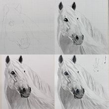 Caballo Blanco y Negro. Watercolor. Traditional illustration project by Carol Pinango - 03.10.2023