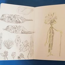 Mon projet du cours : Dessin de créatures fantastiques inspirées de la nature. Projekt z dziedziny R, sunek ołówkiem,  R, sunek, Malowanie akwarelą, Sketchbook, Ilustracja naturalist i czna użytkownika Marina Addor - 10.03.2023