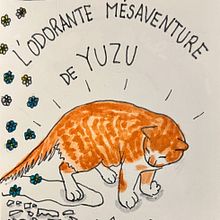 Follow up n°15 to "Illustrated Life Journal: A Daily Mindful Practice" : February 2023. Traditional illustration, Drawing, Narrative, Sketchbook, Stor, and telling project by Stig Legrand - 03.11.2023
