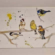 My project for course: Artistic Watercolor Techniques for Illustrating Birds. Watercolor Painting project by Fionnuala Mc Govern - 03.11.2023
