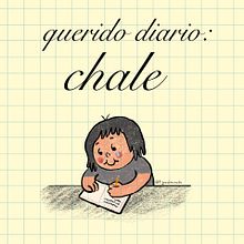 Querido diario: Chale, 2023. Traditional illustration, Design, and Digital Drawing project by Rogo Madrid - 03.11.2023
