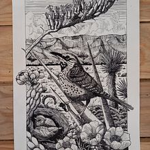 Gran Desierto Chihuahuense biodiversity. Un progetto di Bozzetti, Disegno, Disegno artistico, Sketchbook, Illustrazione con inchiostro e Illustrazione naturalistica di Mané Salinas Rodríguez - 12.03.2023