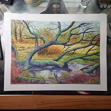 Mein Abschlussprojekt für den Kurs: Realistische Landschaften in Aquarell malen. Un progetto di Belle arti, Pittura, Bozzetti, Pittura ad acquerello e Illustrazione naturalistica di Jens Landefeld - 13.03.2023