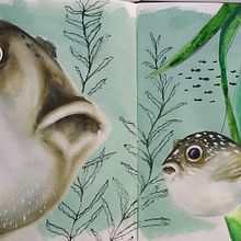 Mi proyecto del curso: Ilustración de universos marinos en acuarela Ein Projekt aus dem Bereich Traditionelle Illustration, Malerei, Aquarellmalerei und Naturalistische Illustration von virginia villar - 13.03.2023