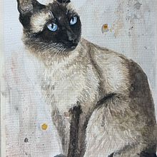 Gato Siames. Actividad curso Animales expresivos en Acuarela. Traditional illustration project by Carol Pinango - 03.13.2023