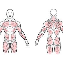 Mi proyecto del curso: Tatuaje para principiantes. Un progetto di Design di tatuaggi di varaskarla2828 - 08.11.2024