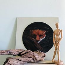 Zorrito rojo . Traditional illustration, and Fine Arts project by Isabel Quiroga Castro - 03.13.2023