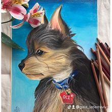 Oli. Un proyecto de Ilustración tradicional y Bellas Artes de Isabel Quiroga Castro - 13.03.2023