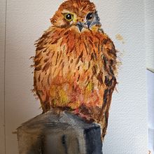 My project for course: Expressive Animal Portraits in Watercolor. Traditional illustration, Watercolor Painting, Realistic Drawing, and Naturalistic Illustration project by Shirley Rowley - 05.15.2023