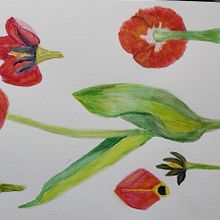 Mi proyecto del curso: Ilustración botánica con acuarela. Traditional illustration, Fine Arts, Painting, Drawing, Watercolor Painting, and Botanical Illustration project by Paty Monsell - 03.14.2023