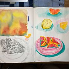 "Oranges" — My project for course: Illustrating Nature: A Creative Exploration. Traditional illustration, Painting, Drawing, Watercolor Painting, Ink Illustration, and Naturalistic Illustration project by anagarica1 - 03.13.2023